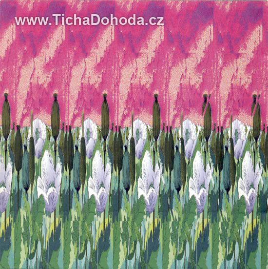 Obal alba La Décadance